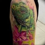 Фото тату игуана 26.10.2018 №105 - tattoo iguana - tattoo-photo.ru
