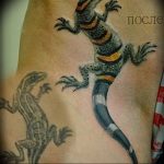Фото тату игуана 26.10.2018 №108 - tattoo iguana - tattoo-photo.ru