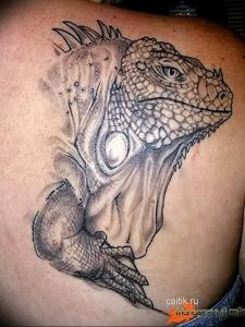 Фото тату игуана 26.10.2018 №109 - tattoo iguana - tattoo-photo.ru