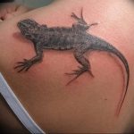 Фото тату игуана 26.10.2018 №112 - tattoo iguana - tattoo-photo.ru