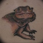Фото тату игуана 26.10.2018 №115 - tattoo iguana - tattoo-photo.ru