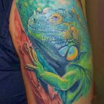 Фото тату игуана 26.10.2018 №120 - tattoo iguana - tattoo-photo.ru