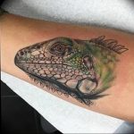 Фото тату игуана 26.10.2018 №122 - tattoo iguana - tattoo-photo.ru