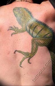 Фото тату игуана 26.10.2018 №136 - tattoo iguana - tattoo-photo.ru
