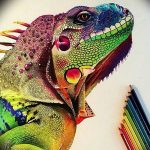 Фото тату игуана 26.10.2018 №141 - tattoo iguana - tattoo-photo.ru