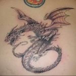 Фото татуировки дракон от 24.09.2018 №066 - dragon tattoo - tattoo-photo.ru