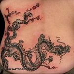 Фото татуировки дракон от 24.09.2018 №101 - dragon tattoo - tattoo-photo.ru