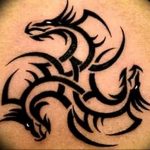 Фото татуировки дракон от 24.09.2018 №148 - dragon tattoo - tattoo-photo.ru