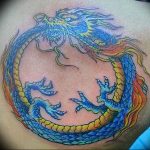 Фото татуировки дракон от 24.09.2018 №151 - dragon tattoo - tattoo-photo.ru