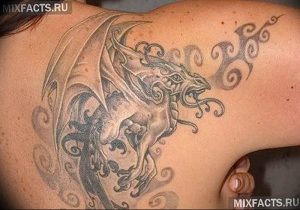 Фото татуировки дракон от 24.09.2018 №230 - dragon tattoo - tattoo-photo.ru