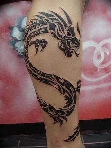 Фото татуировки дракон от 24.09.2018 №250 - dragon tattoo - tattoo-photo.ru