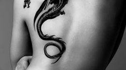 Фото татуировки дракон от 24.09.2018 №294 - dragon tattoo - tattoo-photo.ru