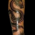 Фото татуировки дракон от 24.09.2018 №329 - dragon tattoo - tattoo-photo.ru