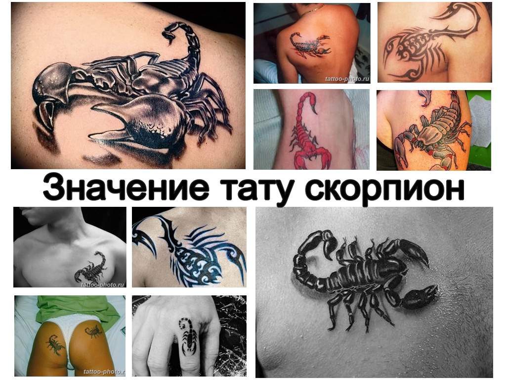Значение тату скорпион - информация и фото примеры готовых рисунков татуировки