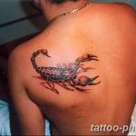Фото рисунка скорпион 24.11.2018 №008 - photo tattoo scorpion - tattoo-photo.ru