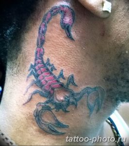 Фото рисунка скорпион 24.11.2018 №018 - photo tattoo scorpion - tattoo-photo.ru