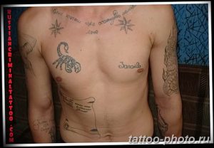 Фото рисунка скорпион 24.11.2018 №021 - photo tattoo scorpion - tattoo-photo.ru
