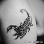 Фото рисунка скорпион 24.11.2018 №022 - photo tattoo scorpion - tattoo-photo.ru