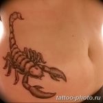 Фото рисунка скорпион 24.11.2018 №023 - photo tattoo scorpion - tattoo-photo.ru