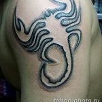 Фото рисунка скорпион 24.11.2018 №032 - photo tattoo scorpion - tattoo-photo.ru