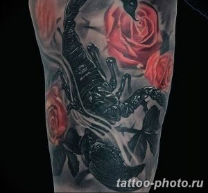 Фото рисунка скорпион 24.11.2018 №042 - photo tattoo scorpion - tattoo-photo.ru