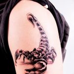 Фото рисунка скорпион 24.11.2018 №072 - photo tattoo scorpion - tattoo-photo.ru