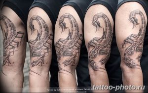 Фото рисунка скорпион 24.11.2018 №077 - photo tattoo scorpion - tattoo-photo.ru