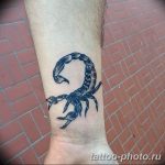Фото рисунка скорпион 24.11.2018 №081 - photo tattoo scorpion - tattoo-photo.ru