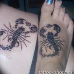 Фото рисунка скорпион 24.11.2018 №096 - photo tattoo scorpion - tattoo-photo.ru