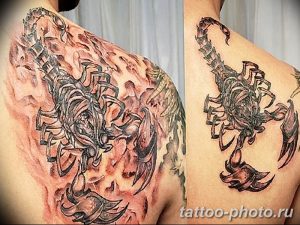 Фото рисунка скорпион 24.11.2018 №108 - photo tattoo scorpion - tattoo-photo.ru