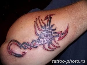 Фото рисунка скорпион 24.11.2018 №119 - photo tattoo scorpion - tattoo-photo.ru
