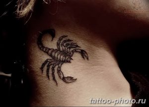 Фото рисунка скорпион 24.11.2018 №141 - photo tattoo scorpion - tattoo-photo.ru