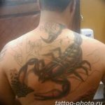 Фото рисунка скорпион 24.11.2018 №153 - photo tattoo scorpion - tattoo-photo.ru