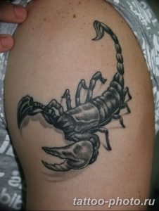 Фото рисунка скорпион 24.11.2018 №165 - photo tattoo scorpion - tattoo-photo.ru