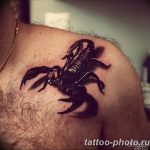 Фото рисунка скорпион 24.11.2018 №192 - photo tattoo scorpion - tattoo-photo.ru