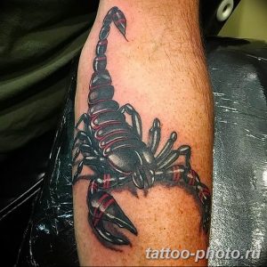 Фото рисунка скорпион 24.11.2018 №209 - photo tattoo scorpion - tattoo-photo.ru