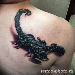 Фото рисунка скорпион 24.11.2018 №211 - photo tattoo scorpion - tattoo-photo.ru
