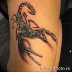 Фото рисунка скорпион 24.11.2018 №212 - photo tattoo scorpion - tattoo-photo.ru