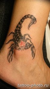 Фото рисунка скорпион 24.11.2018 №239 - photo tattoo scorpion - tattoo-photo.ru