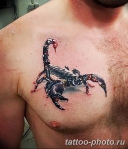 Фото рисунка скорпион 24.11.2018 №241 - photo tattoo scorpion - tattoo-photo.ru