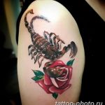 Фото рисунка скорпион 24.11.2018 №245 - photo tattoo scorpion - tattoo-photo.ru