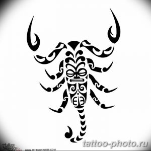 Фото рисунка скорпион 24.11.2018 №250 - photo tattoo scorpion - tattoo-photo.ru