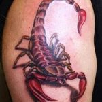 Фото рисунка скорпион 24.11.2018 №251 - photo tattoo scorpion - tattoo-photo.ru