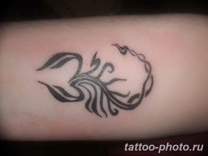 Фото рисунка скорпион 24.11.2018 №257 - photo tattoo scorpion - tattoo-photo.ru