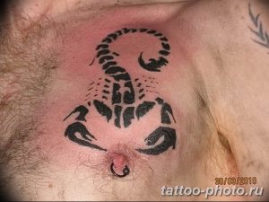 Фото рисунка скорпион 24.11.2018 №258 - photo tattoo scorpion - tattoo-photo.ru