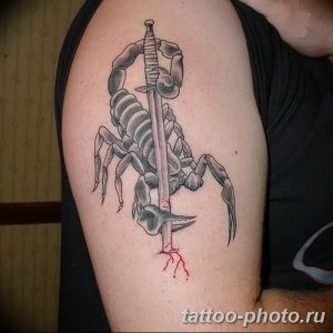 Фото рисунка скорпион 24.11.2018 №263 - photo tattoo scorpion - tattoo-photo.ru