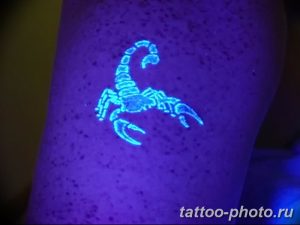Фото рисунка скорпион 24.11.2018 №264 - photo tattoo scorpion - tattoo-photo.ru