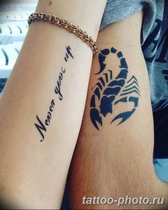 Фото рисунка скорпион 24.11.2018 №267 - photo tattoo scorpion - tattoo-photo.ru