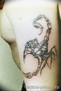 Фото рисунка скорпион 24.11.2018 №274 - photo tattoo scorpion - tattoo-photo.ru