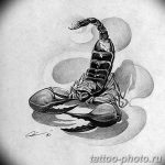 Фото рисунка скорпион 24.11.2018 №276 - photo tattoo scorpion - tattoo-photo.ru